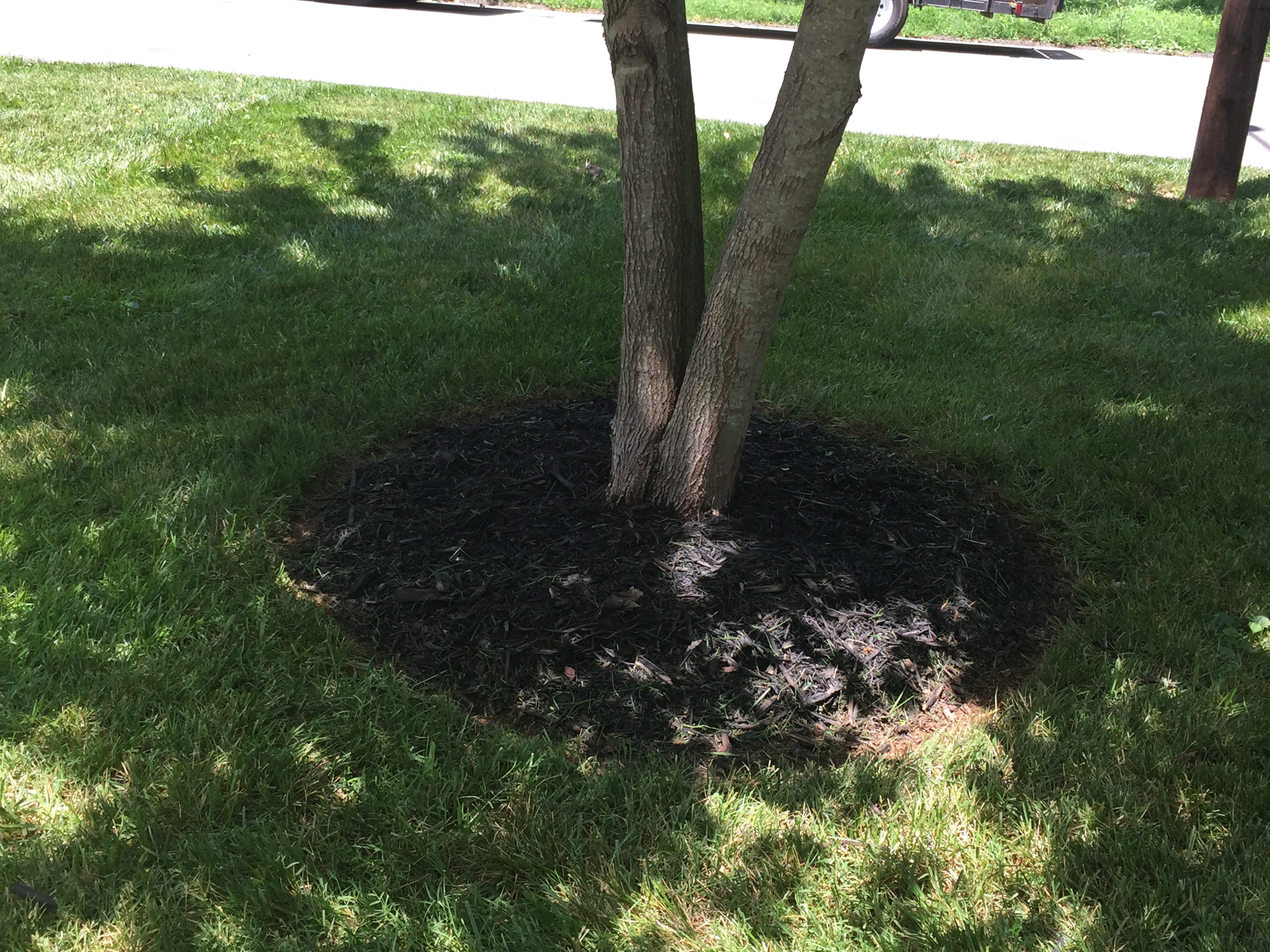 Landscaping project