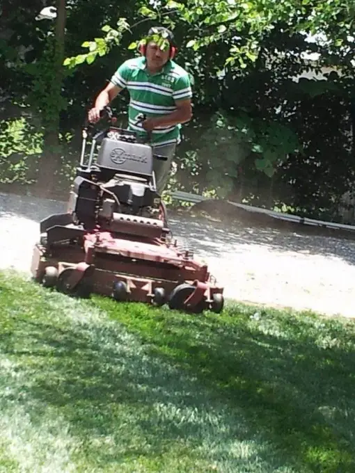 Amigoscape team member mowing a lawn with a commercial zero-turn mower