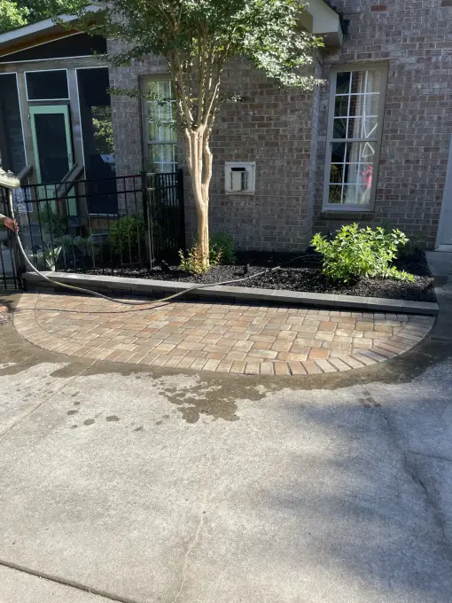 Newly installed brick paver walkway leading to a front entry with a freshly planted tree and trimmed shrubs