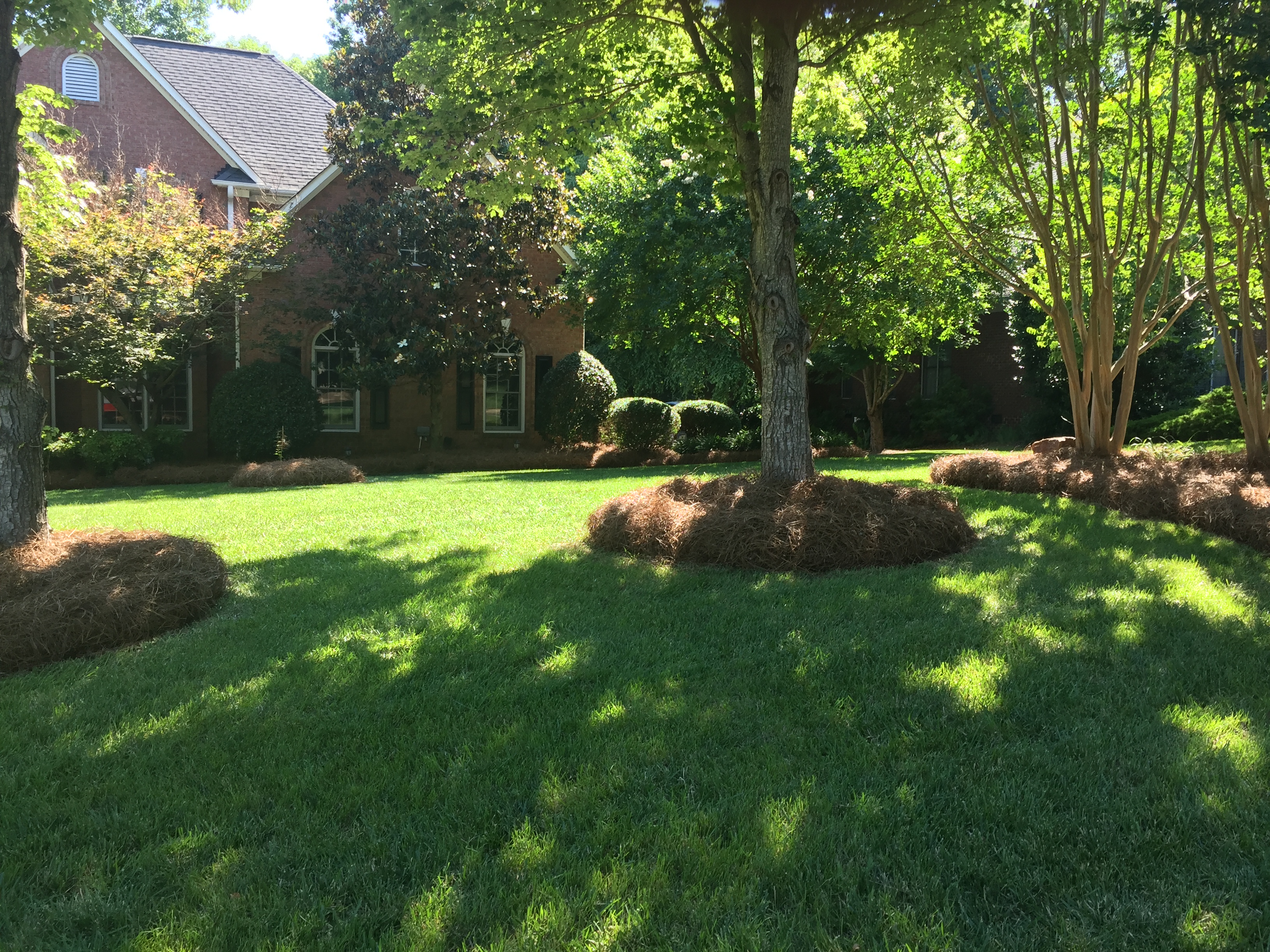 Amigoscape landscaping work